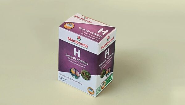 Mamboreta H 30CC