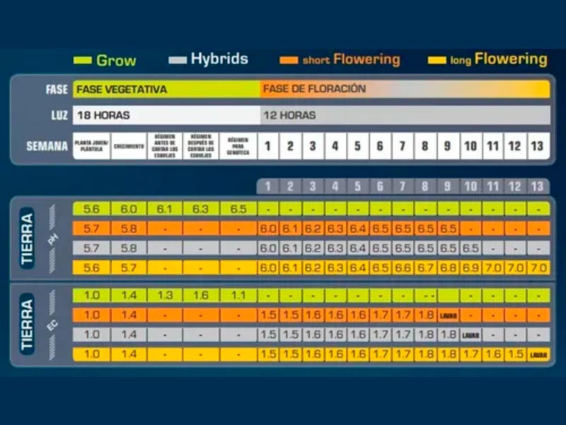Feeding Short 125 gr - Image 2