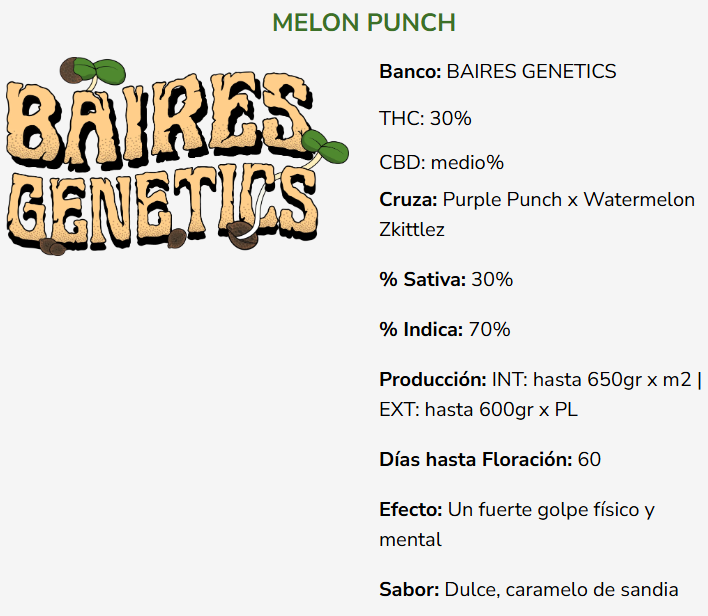 MELON PUNCH x5 - Image 2
