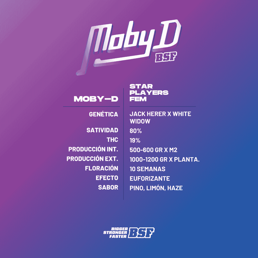 MOBY-D x4 BSF - Image 2