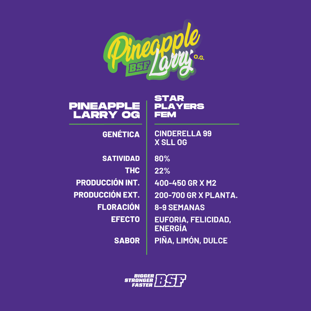 Pineapple Larry OG x4 BSF - Image 2
